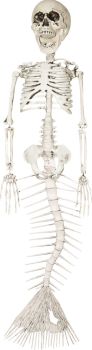 Skeleton Mermaid