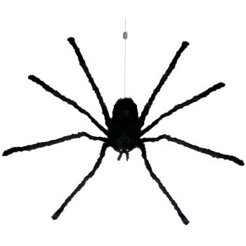 Roping Giant Spider