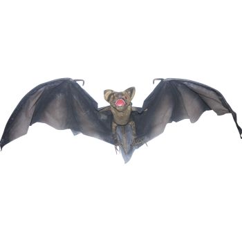 Vampire Bat