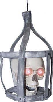 Talking Skull In Cage