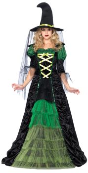 Women's Storybook Witch Costume - Adult S/M
