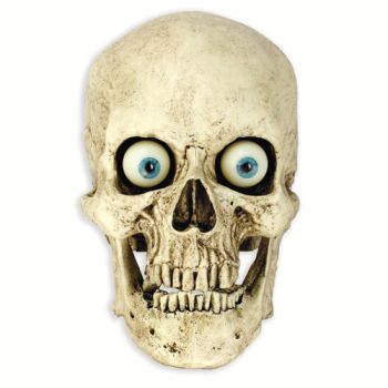 Plain Skull