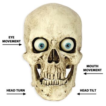 Plain Skull