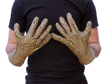 SCARECROW HANDS