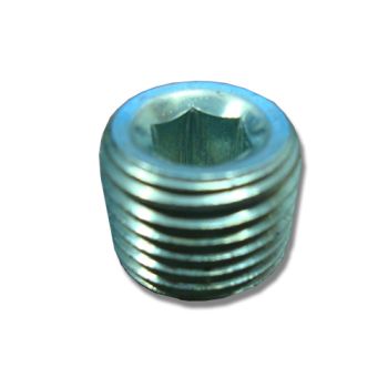 Threaded Plug