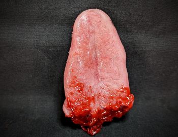 CX Body Part: Tongue