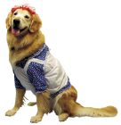 Raggedy Ann Pet Costume - Pet Large