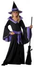 Girl's Incantasia, The Glamour Witch Costume - Child S (6 - 8)