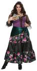 Women's Plus Size Mystical Charmer Costume - Adult 1X/2X (16 - 18)