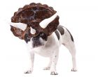 Triceratops Dog Costume - Pet Large