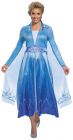 Women's Elsa Deluxe Costume - Frozen 2 - Adult L (12 - 14)