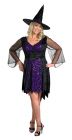 Women's Brilliantly Bewitched Costume - Adult Plus (18 - 20)