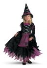 Girl's Fairy Tale Witch Deluxe Costume - Child S (4 - 6X)