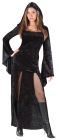 Women's Sultry Sorceress Costume - Adult S/M (2 - 8)