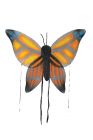 Butterfly Wings - Orange