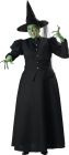 Women's Plus Size Witch Costume - Adult 2X (20 - 22)