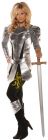 Women's A Knight To Remember Costume - Adult Small