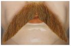 Walrus Mustache - Human Hair - Strawberry Blonde
