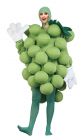 Grapes Costume - Green - Adult OSFM