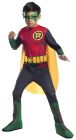 Boy's Photo-Real Robin Costume - Child Medium