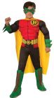 Boy's Deluxe Photo-Real Muscle Chest Robin Costume - Child Small