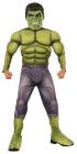 Boy's Deluxe Muscle Chest Hulk Costume - Child Small