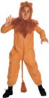 Boy's Cowardly Lion Costume - Wizard Of Oz - Child Large
