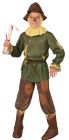 Boy's Scarecrow Costume - Wizard Of Oz - Child Medium