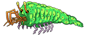 Bug